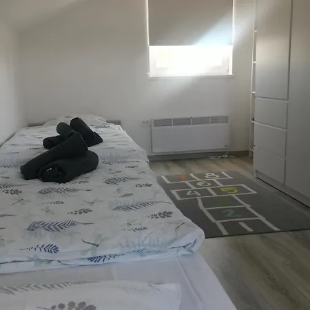 Zuta Kuca