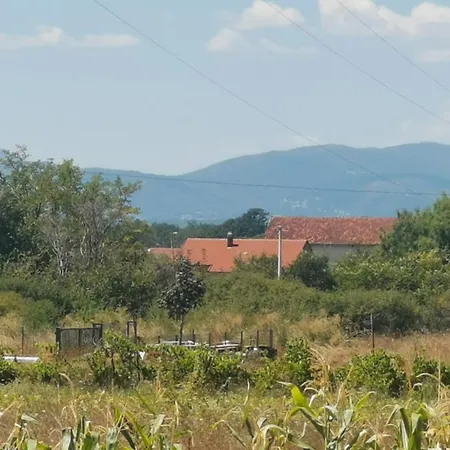 Zuta Kuca * Grude