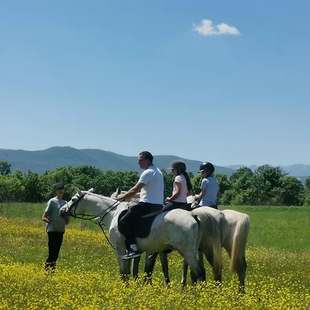 Dom wakacyjny Zuta Kuca