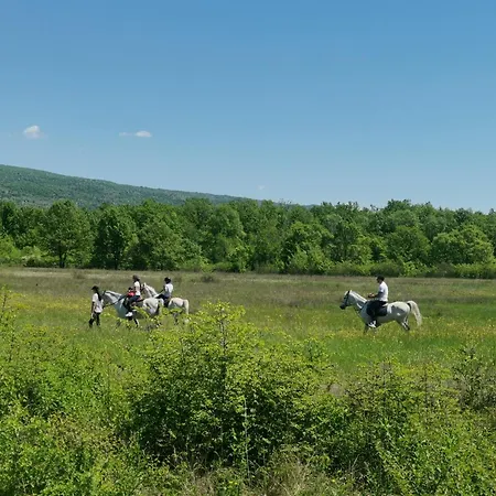 Zuta Kuca Dom wakacyjny Grude